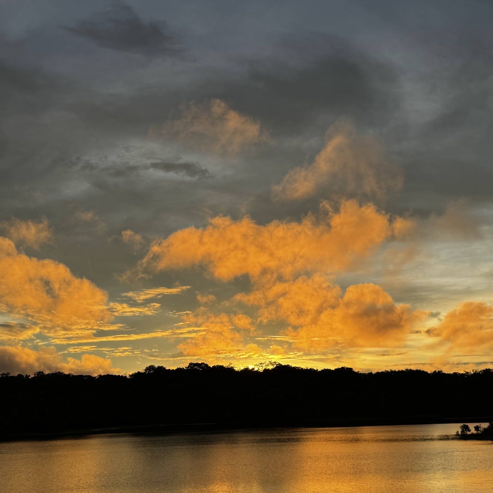 Clouds glowing over the forest horizon