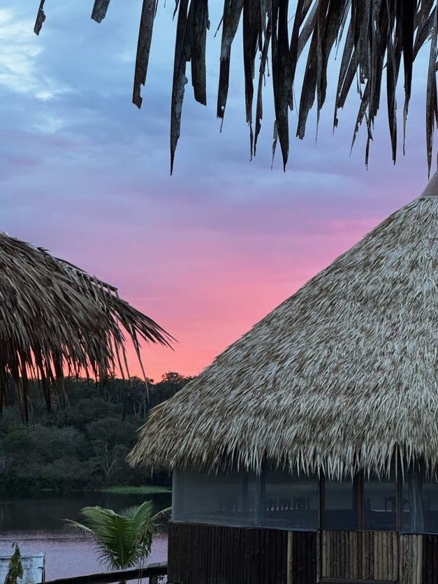 Thatched roofs under a pink sky